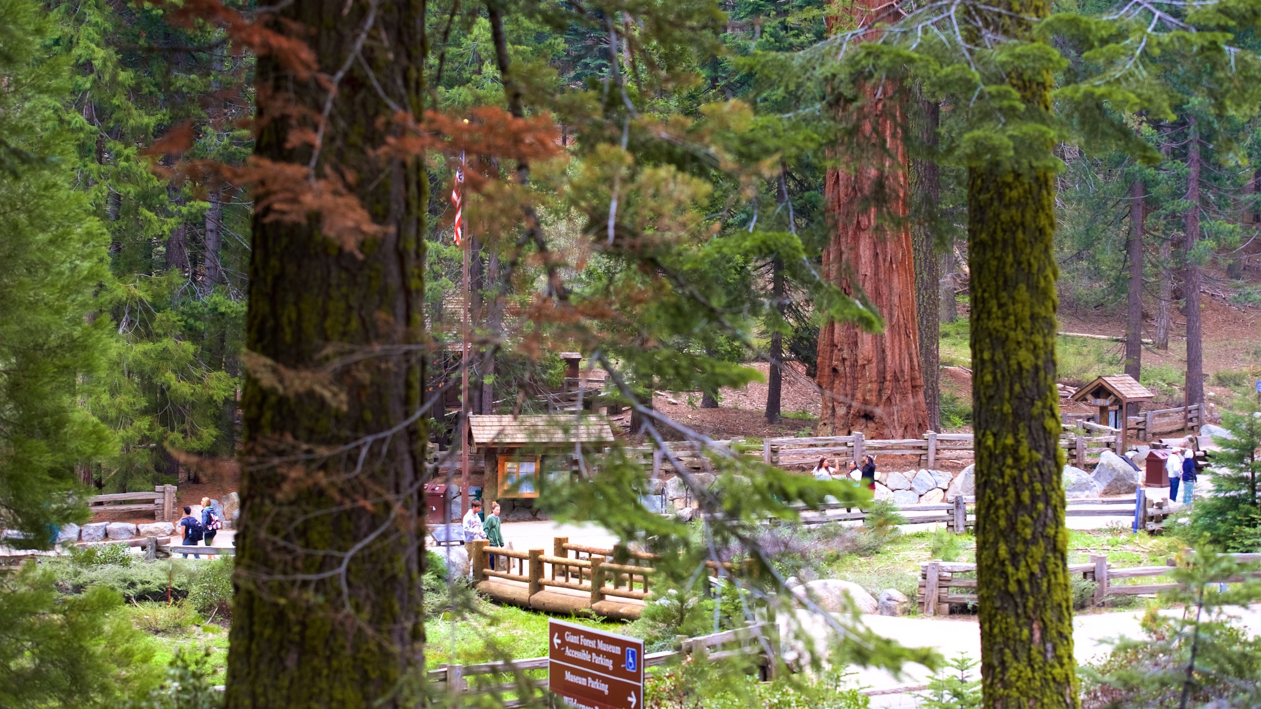 Giant forest shop museum trailhead