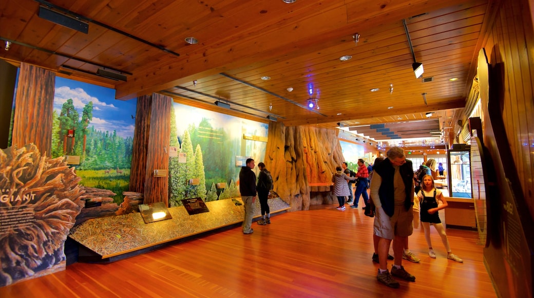 Giant Forest Museum