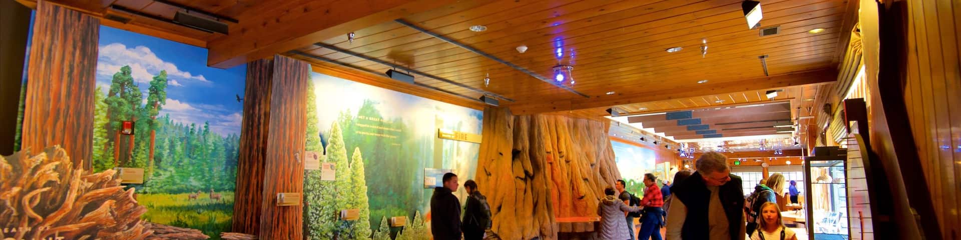 Giant Forest Museum showing interior views as well as a small group of people