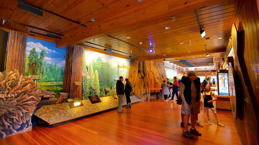 Muzium Hutan Giant