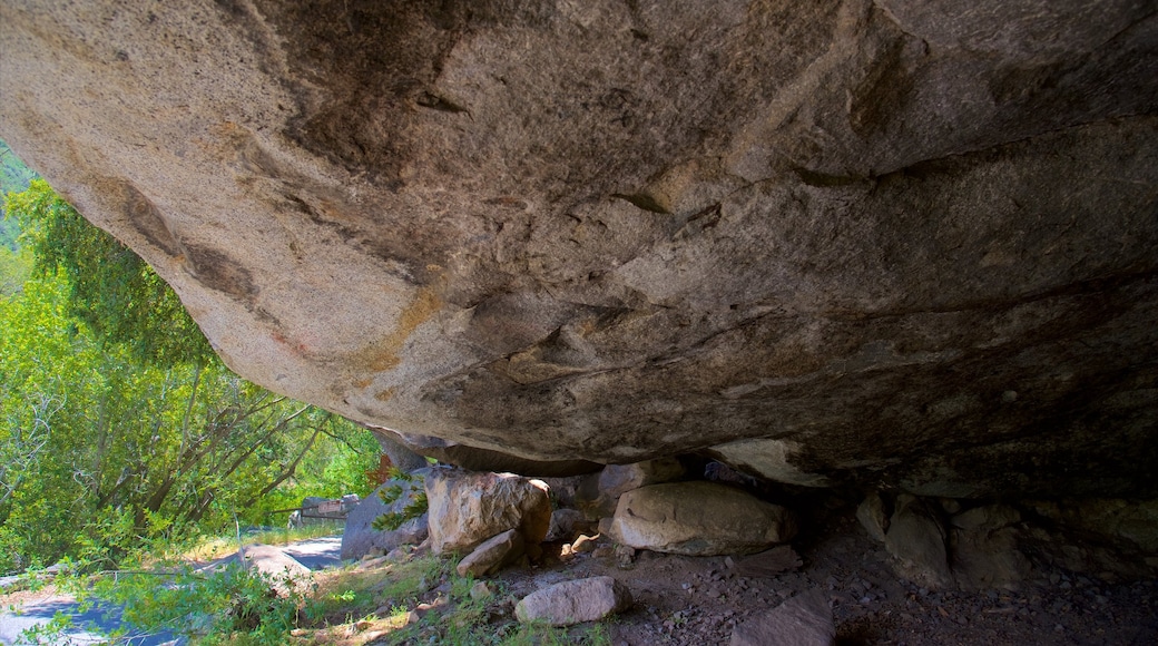 Sequoia National Park mostrando cavernas