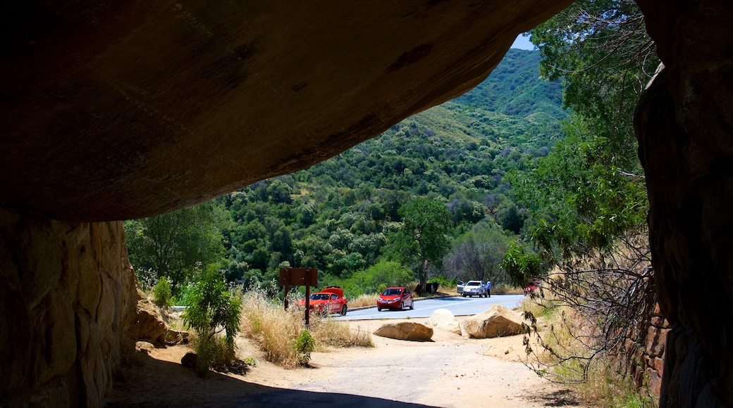 Sequoia National Park showing caves