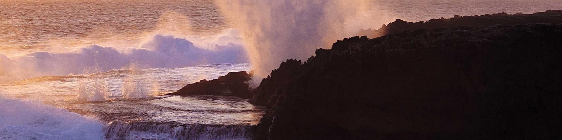 Coral Coast featuring rugged coastline and surf