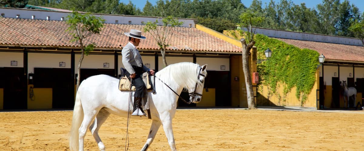 Jerez de la Frontera