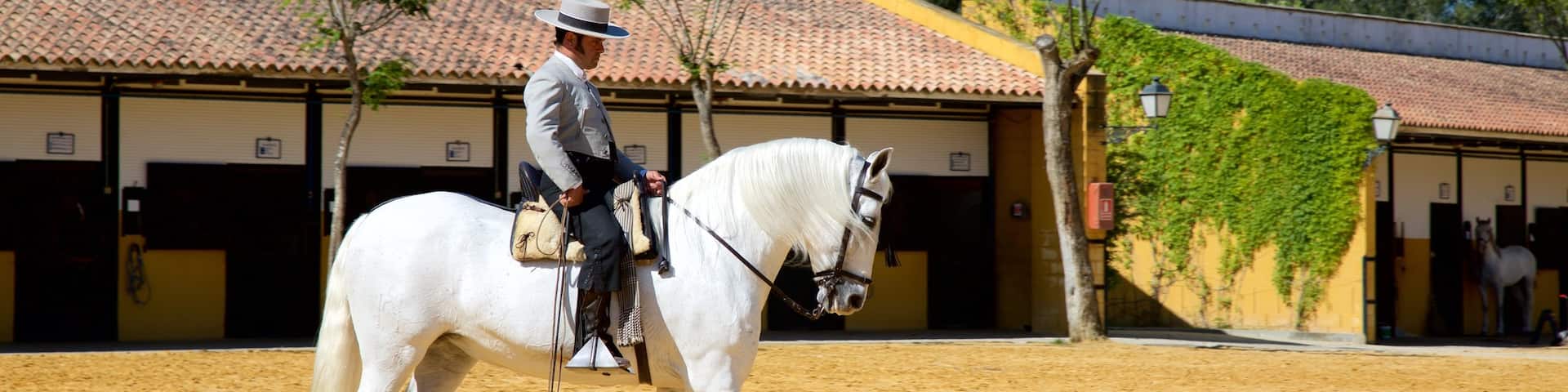Jerez de la Frontera mettant en vedette animaux terrestres aussi bien que homme