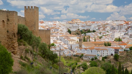 Ronda