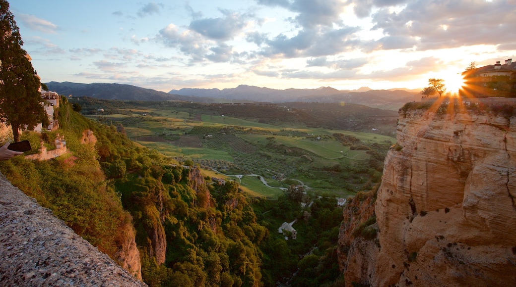 Cañón de El Tajo que incluye una garganta o cañón y escenas tranquilas