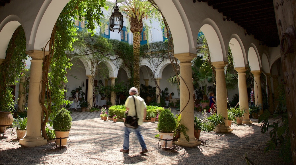 Palacio del Marqués de Viana ofreciendo una casa