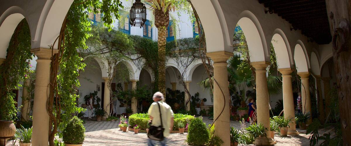 Marques de Viana Palace featuring a house