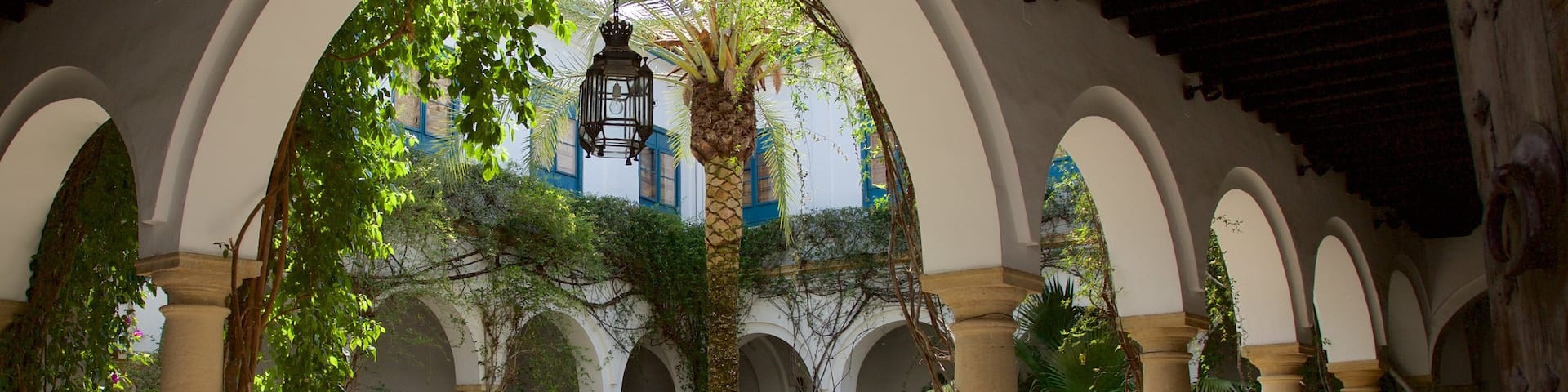 Marques de Viana Palace featuring a house