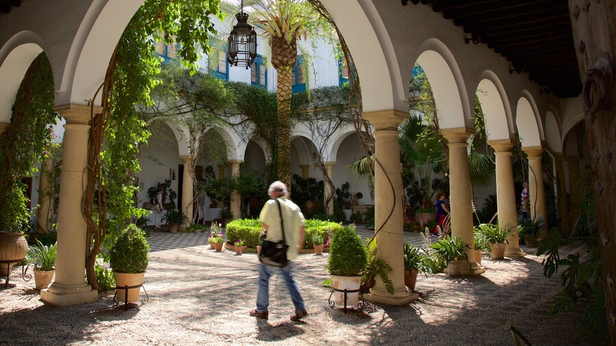 Palacio del Marqués de Viana ofreciendo una casa
