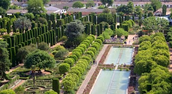 Alcazar de los Reyes Cristianos som inkluderar en trädgård, landskap och en damm