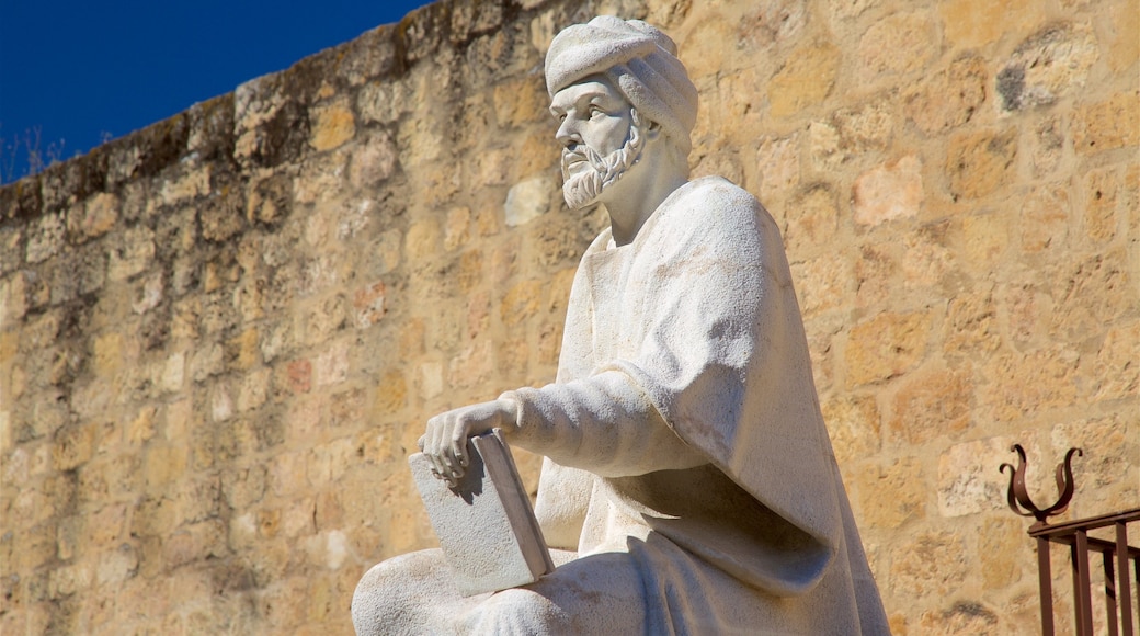 Córdoba caracterizando uma estátua ou escultura