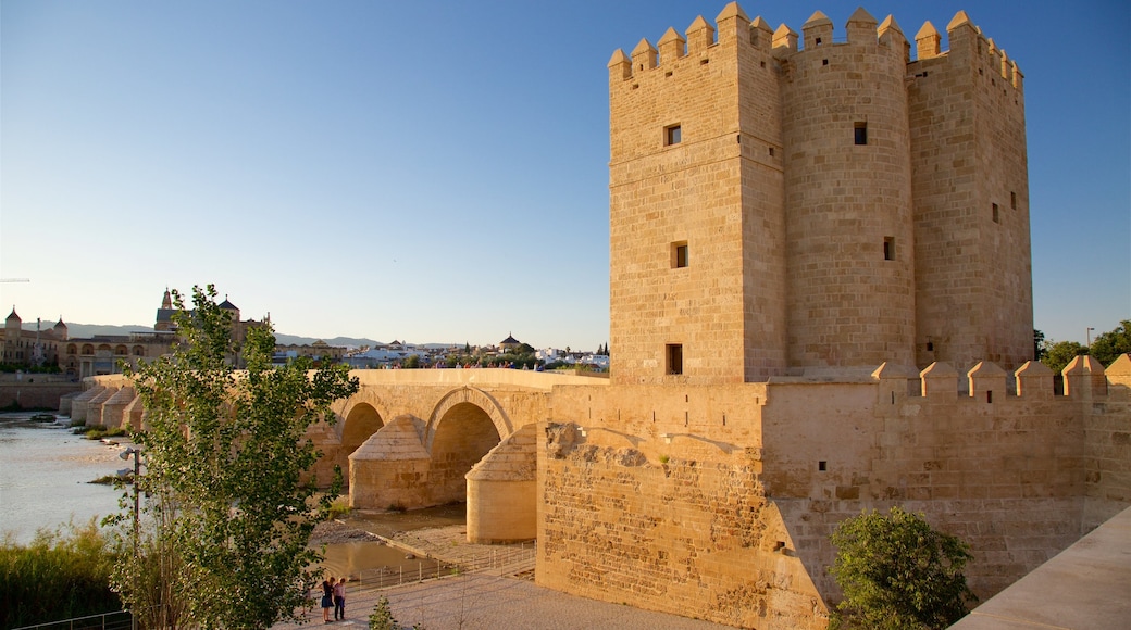 Calahorra Tower which includes a river or creek and heritage elements