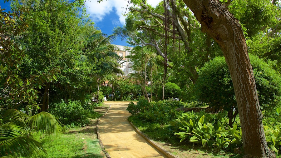 Genovés Park which includes a park