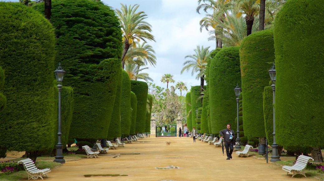 Cadiz which includes a park