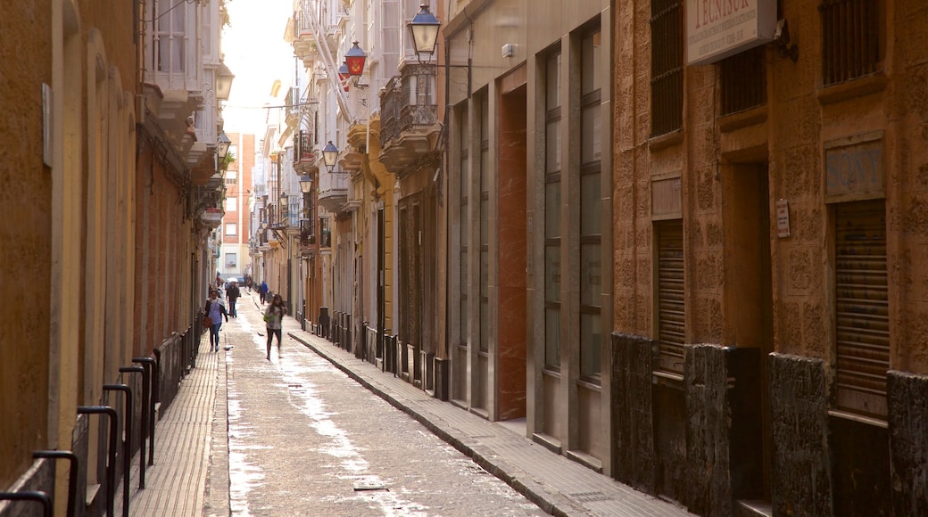 Cadiz featuring street scenes