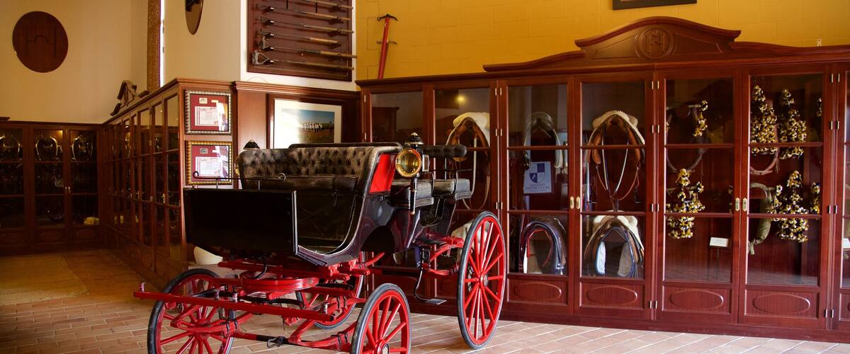 赫雷斯德拉弗隆特拉 设有 懷舊元素 和 內部景觀