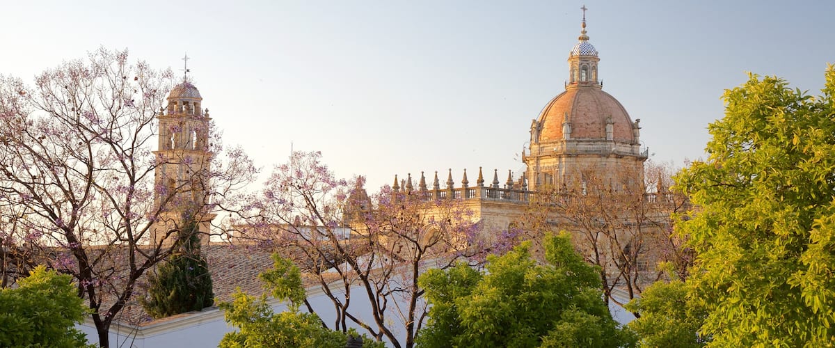 Kathedrale von Jerez