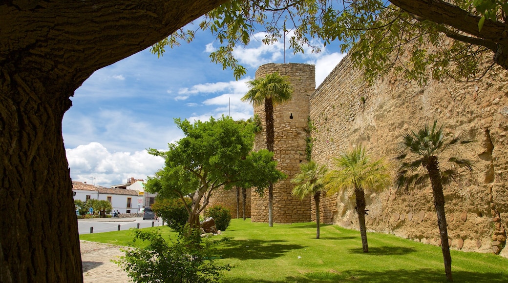 Puerta de Almocabar showing a park and heritage elements