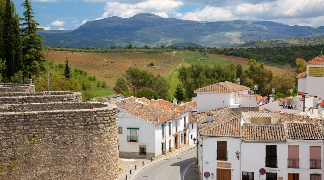 Puerta de Almocabar showing a small town or village