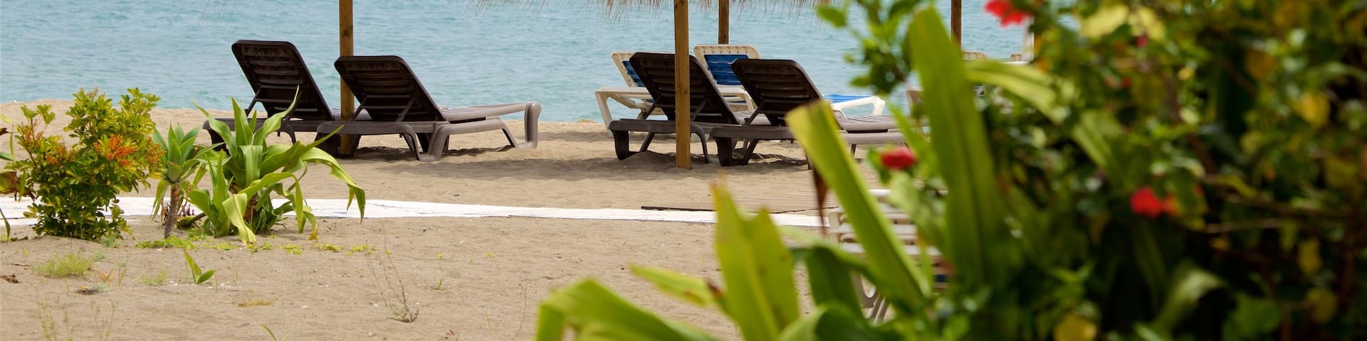 Torremolinos which includes a beach and tropical scenes