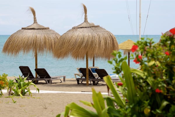 Torremolinos welches beinhaltet tropische Szenerien und Sandstrand