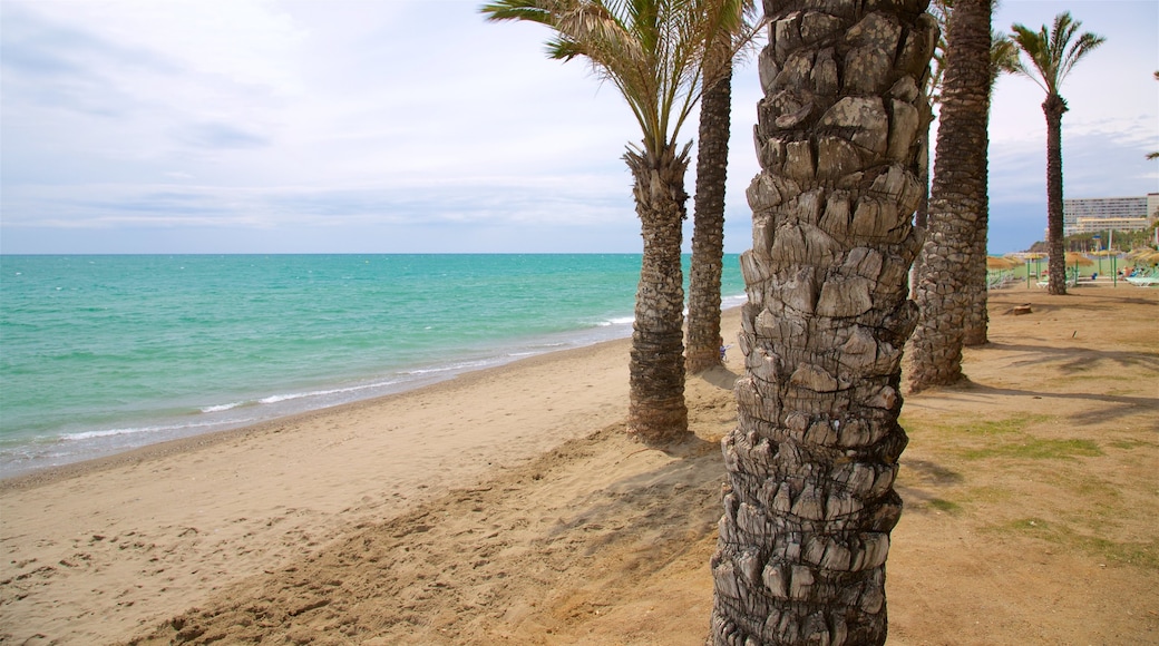 Torremolinos qui includes plage et scènes tropicales