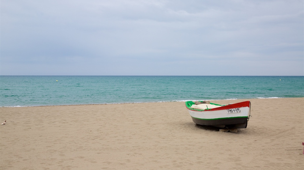 La Carihuela ofreciendo embarcaciones y una playa de arena