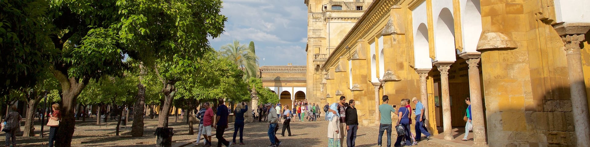 Cordoba Mosque showing street scenes as well as a large group of people
