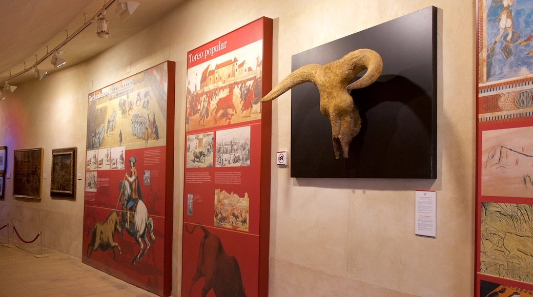 Ronda Bullring Museum featuring interior views