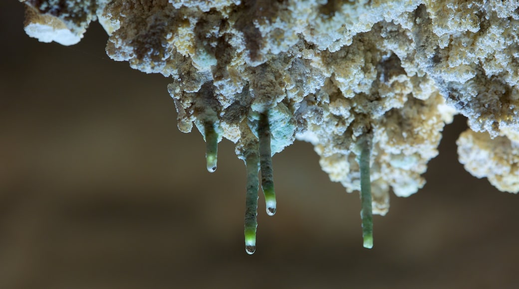 Grotte di Nerja mostrando grotte