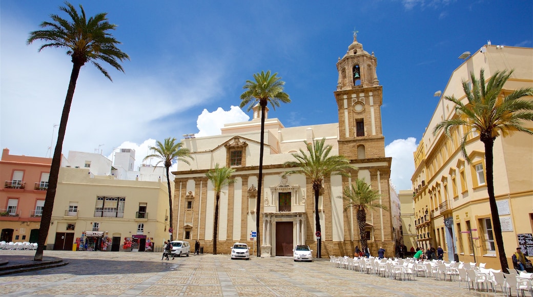 Plaza de la Catedral mit einem tropische Szenerien und Platz oder Plaza