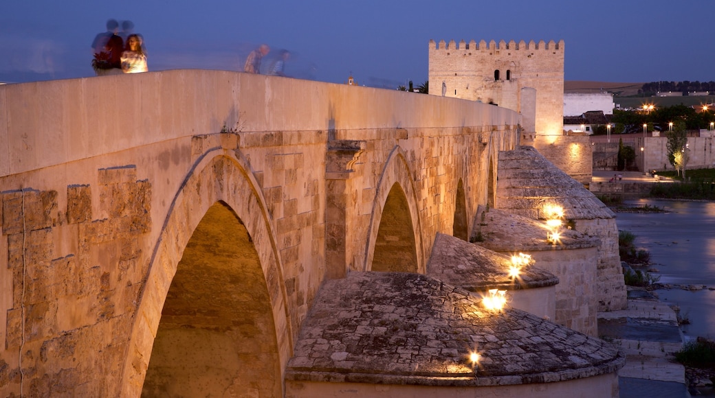 Ponte Romana que inclui uma ponte, elementos de patrimônio e cenas noturnas