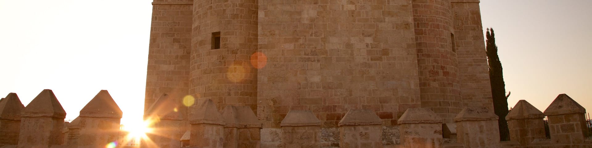 Calahorra Tower which includes a castle and heritage elements