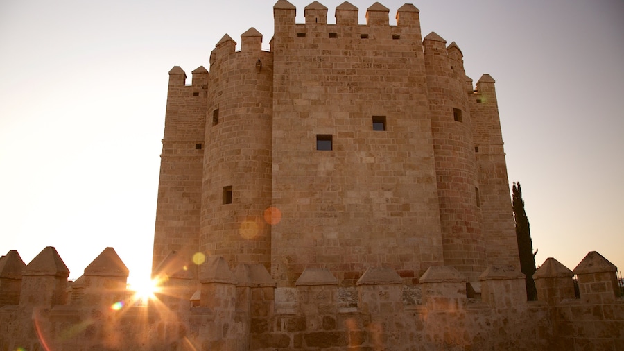 Calahorra Tower which includes a castle and heritage elements