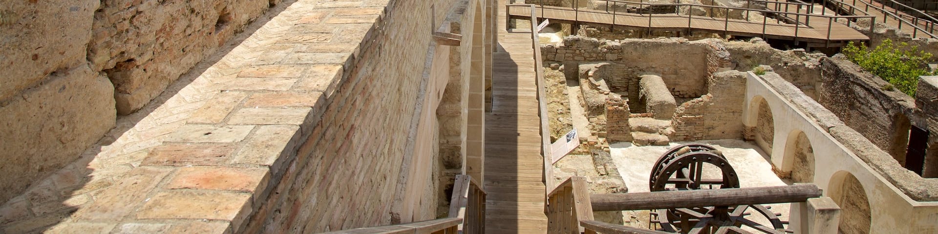 Alcazar GĂ€rten welches beinhaltet Palast oder Schloss und Geschichtliches