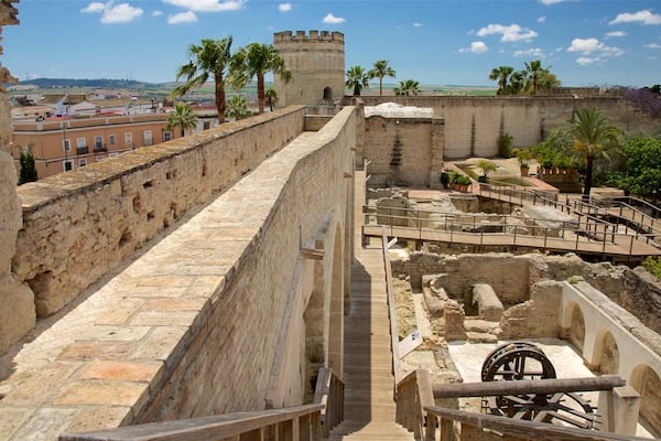 Alcazar GĂ€rten welches beinhaltet Palast oder Schloss und Geschichtliches