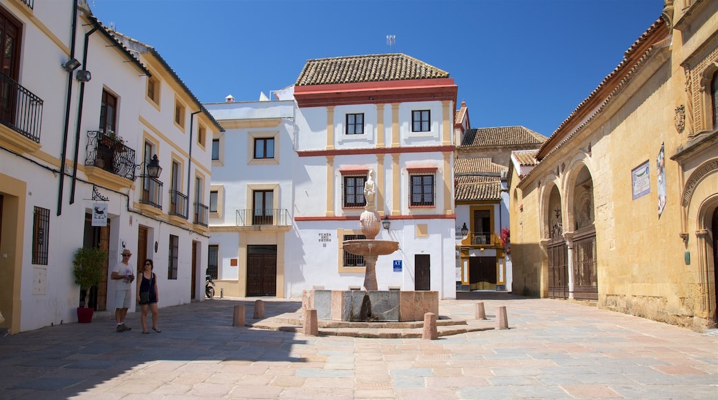 Plaza del Potro which includes a square or plaza and a small town or village