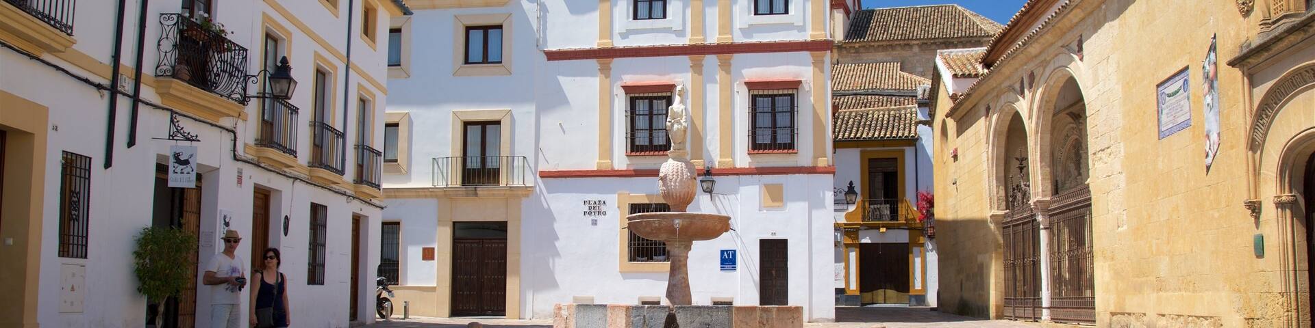 Plaza del Potro featuring a square or plaza and a small town or village