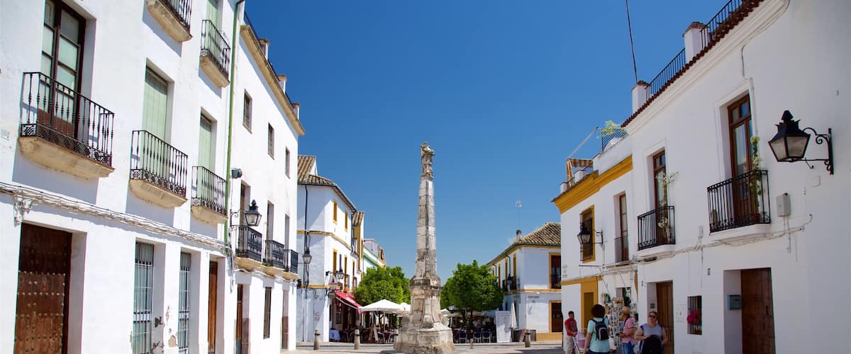 Plaza del Potro featuring a square or plaza