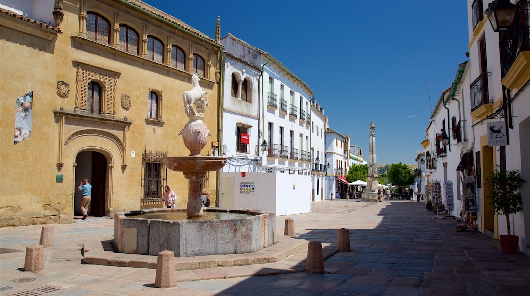 Plaza del Potro caratteristiche di piazza e fontana