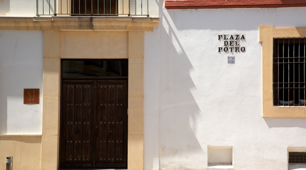 Plaza del Potro which includes street scenes and signage