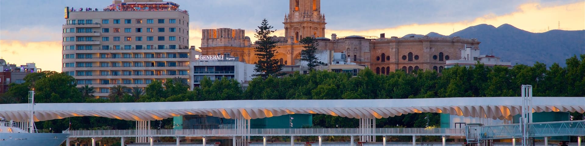 Port of Malaga showing a city and general coastal views