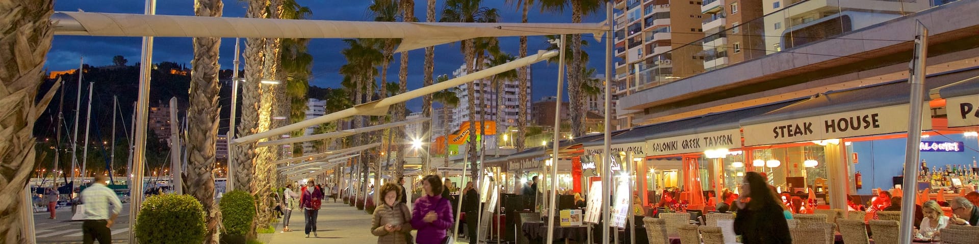 Port of Malaga showing night scenes and a city