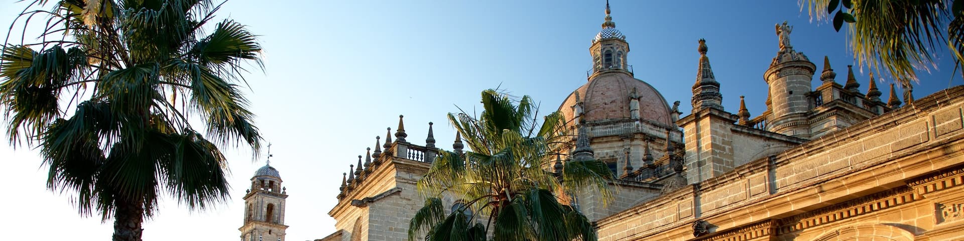 Kathedrale von Jerez welches beinhaltet Straßenszenen und Kirche oder Kathedrale