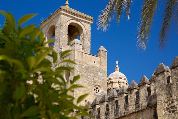 Alcazar of Cordoba qui includes château ou palais