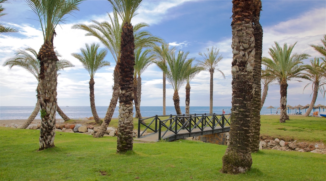 Los Alamos Beach which includes tropical scenes and general coastal views