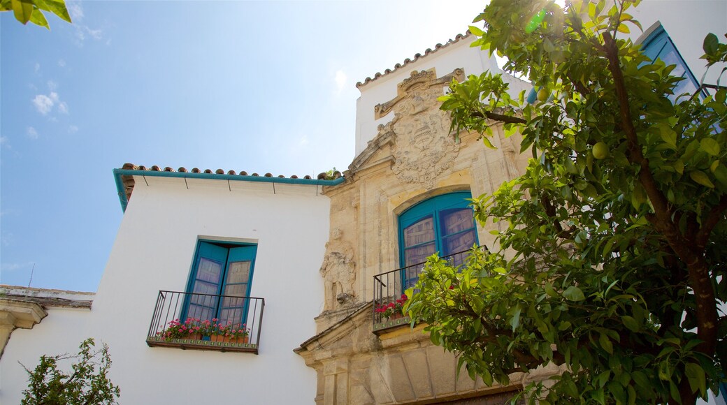 Palacio del Marques de Viana