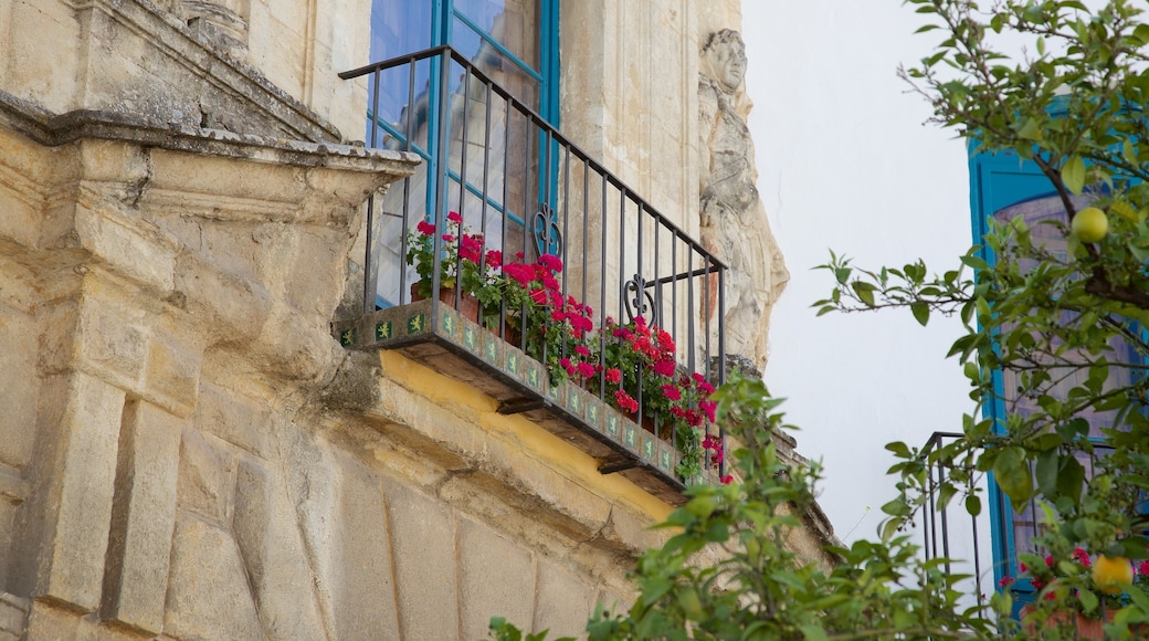 Palacio del Marqués de Viana